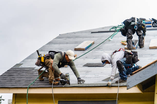 Professional Roof Replacement technician working in Wood River, IL